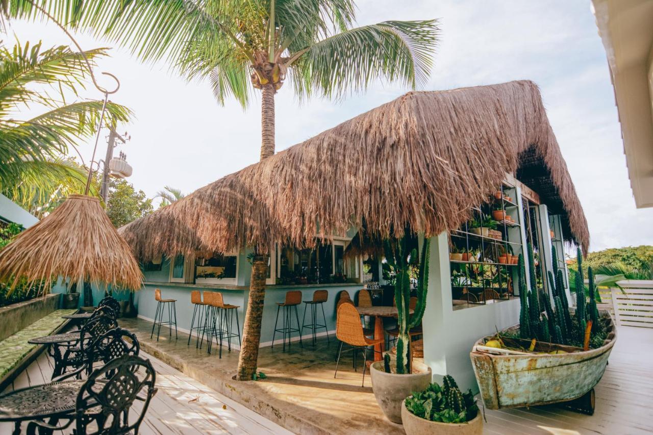 Cactus Lodge Pipa Praia de Pipa Extérieur photo